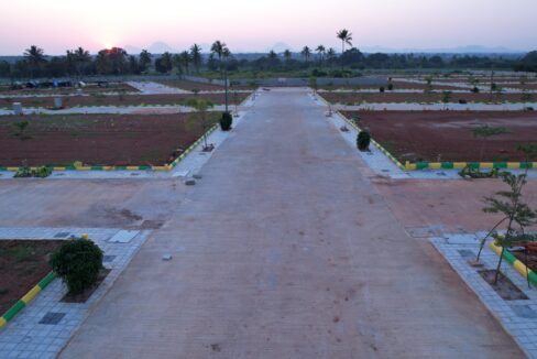 WhatsApp Image 2025-11-15 at 14.22.31