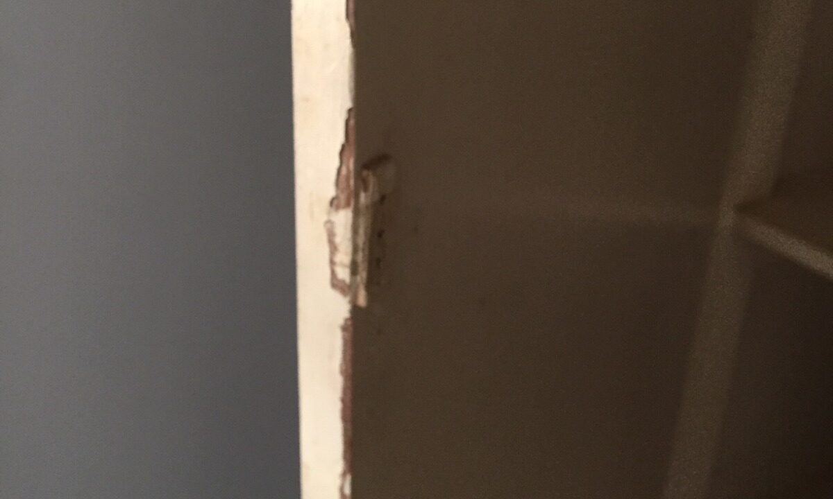 WhatsApp Image 2025-11-19 at 11.21.45 AM (3)