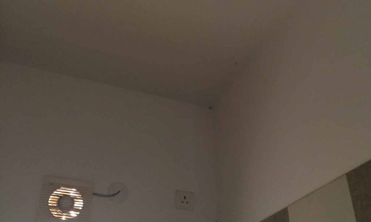 WhatsApp Image 2025-11-19 at 11.21.46 AM