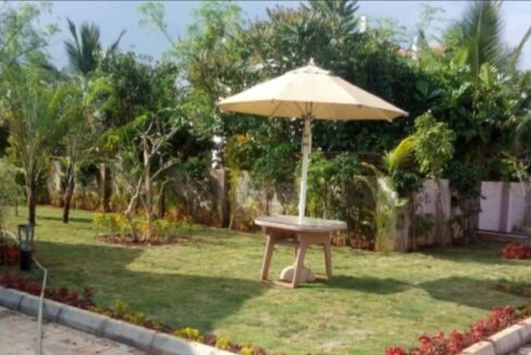 WhatsApp Image 2025-11-25 at 1.35.24 PM