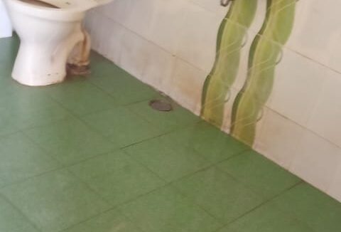 WhatsApp Image 2025-12-03 at 8.32.37 PM (1)