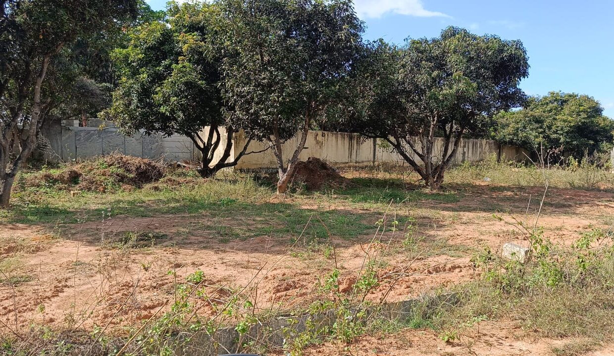 WhatsApp Image 2025-12-04 at 2.34.48 PM