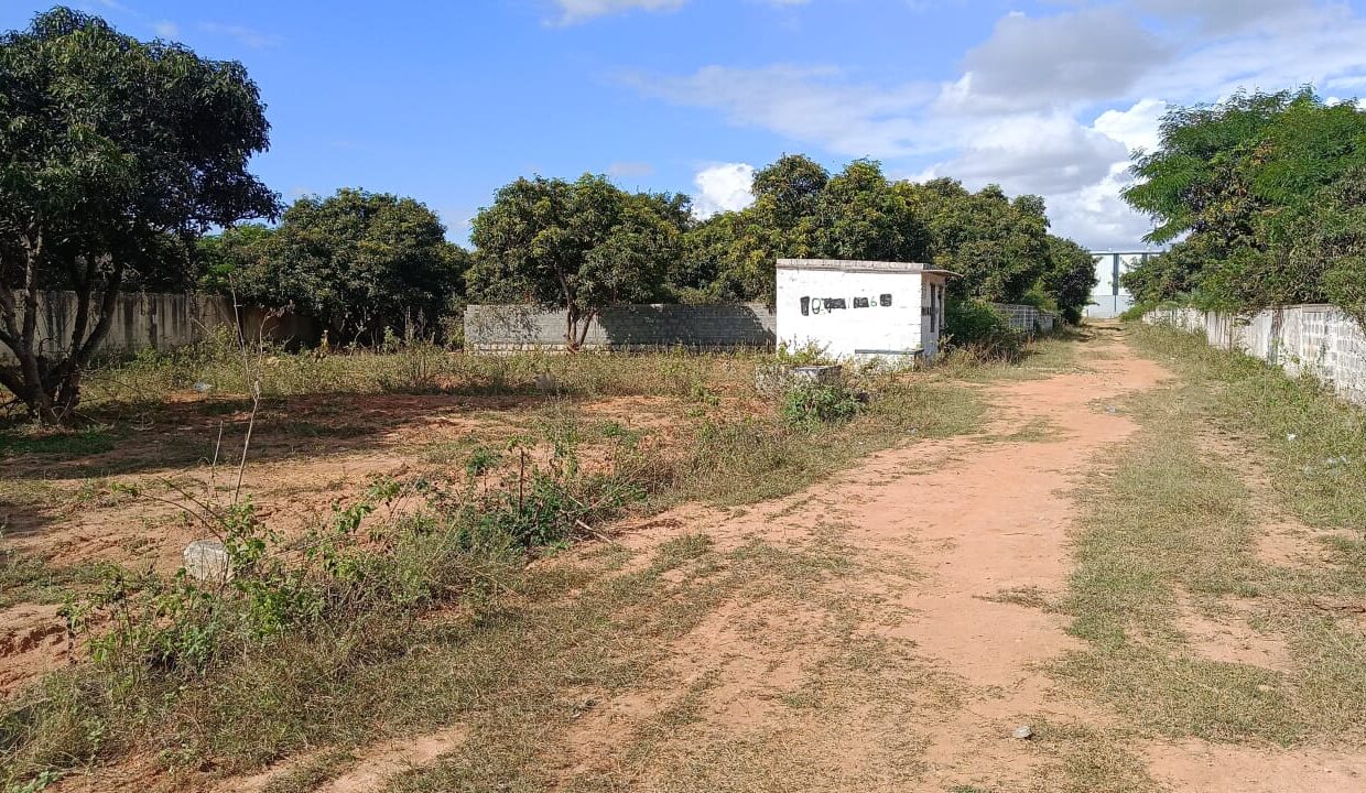 WhatsApp Image 2025-12-04 at 2.34.49 PM