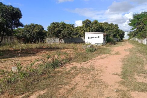 WhatsApp Image 2025-12-04 at 2.34.49 PM