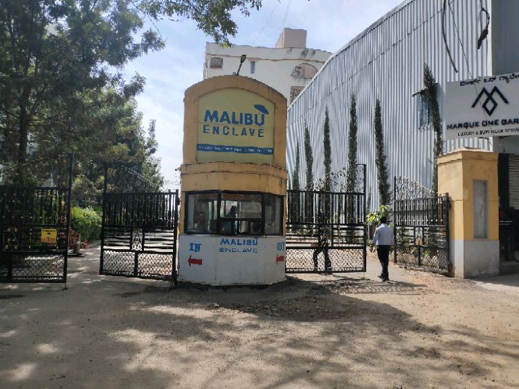 WhatsApp Image 2025-12-04 at 2.58.53 PM