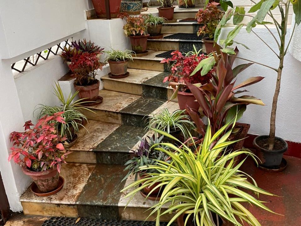 WhatsApp Image 2025-12-08 at 4.20.53 PM (2)