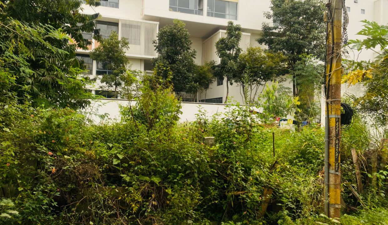 WhatsApp Image 2025-12-15 at 5.05.08 AM