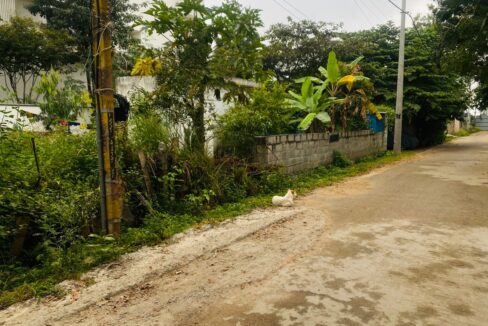 WhatsApp Image 2025-12-15 at 5.05.09 AM