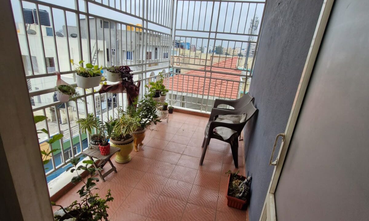 WhatsApp Image 2025-12-17 at 3.52.04 PM (1)