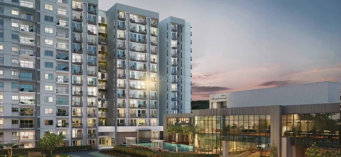 WhatsApp Image 2025-12-18 at 3.13.55 PM