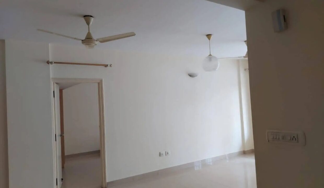 WhatsApp Image 2025-12-20 at 2.46.20 PM