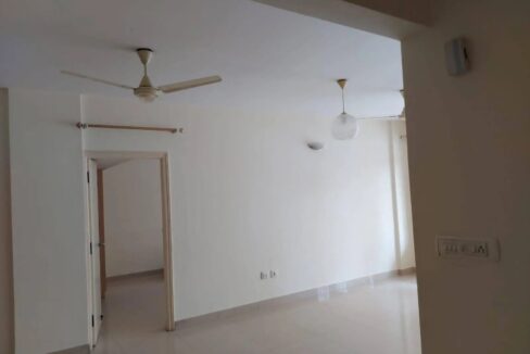 WhatsApp Image 2025-12-20 at 2.46.20 PM