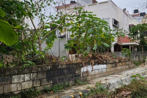 WhatsApp Image 2025-12-25 at 11.34.07 AM