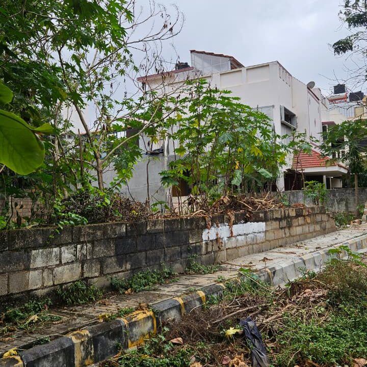 WhatsApp Image 2025-12-25 at 11.34.07 AM