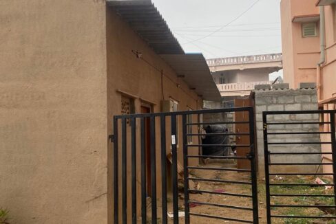 WhatsApp Image 2026-01-13 at 11.20.29 AM