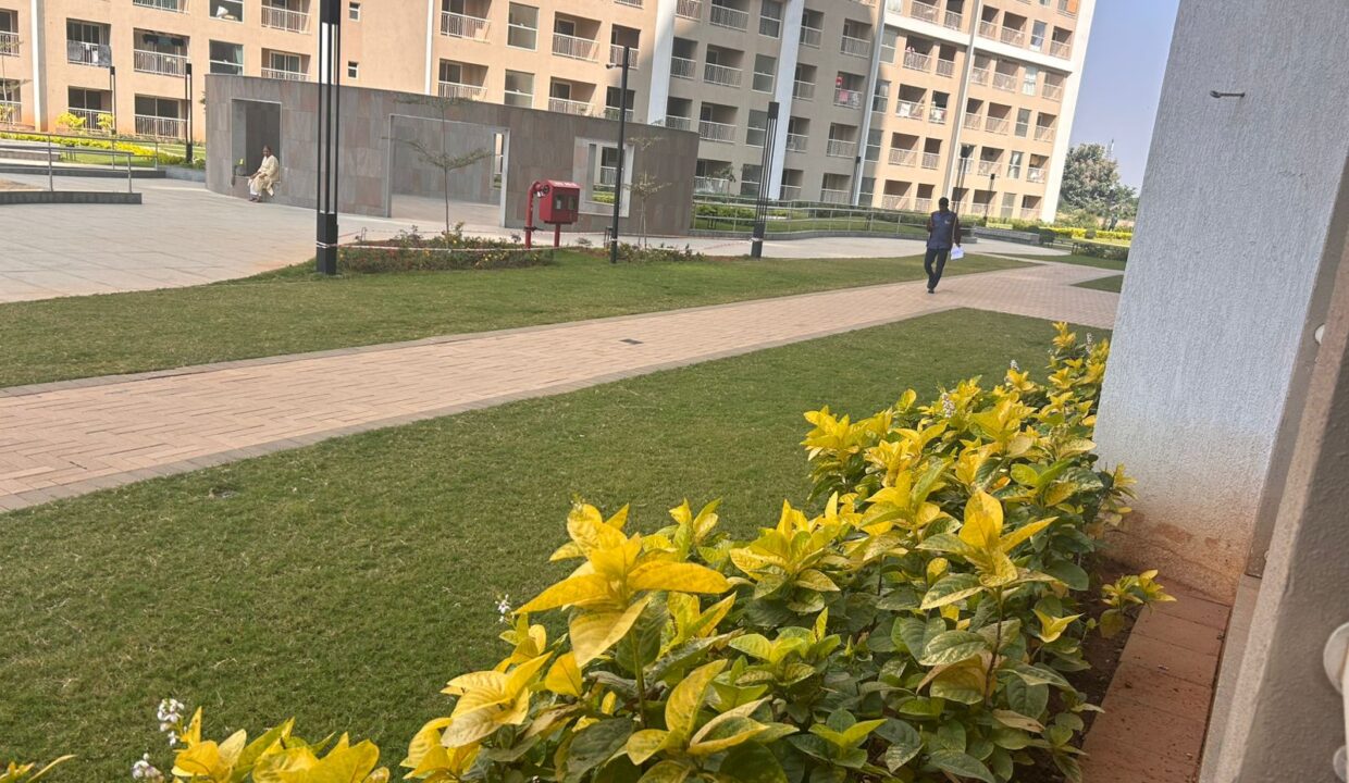 WhatsApp Image 2025-12-31 at 11.38.07 AM