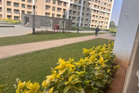 WhatsApp Image 2025-12-31 at 11.38.07 AM