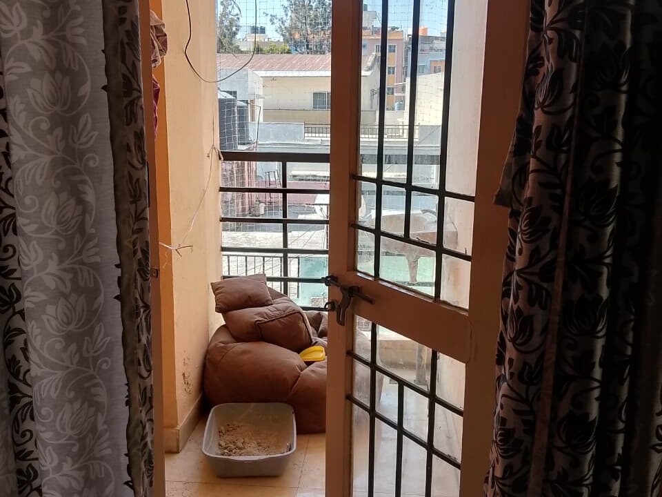 WhatsApp Image 2025-12-31 at 2.33.56 PM (1)