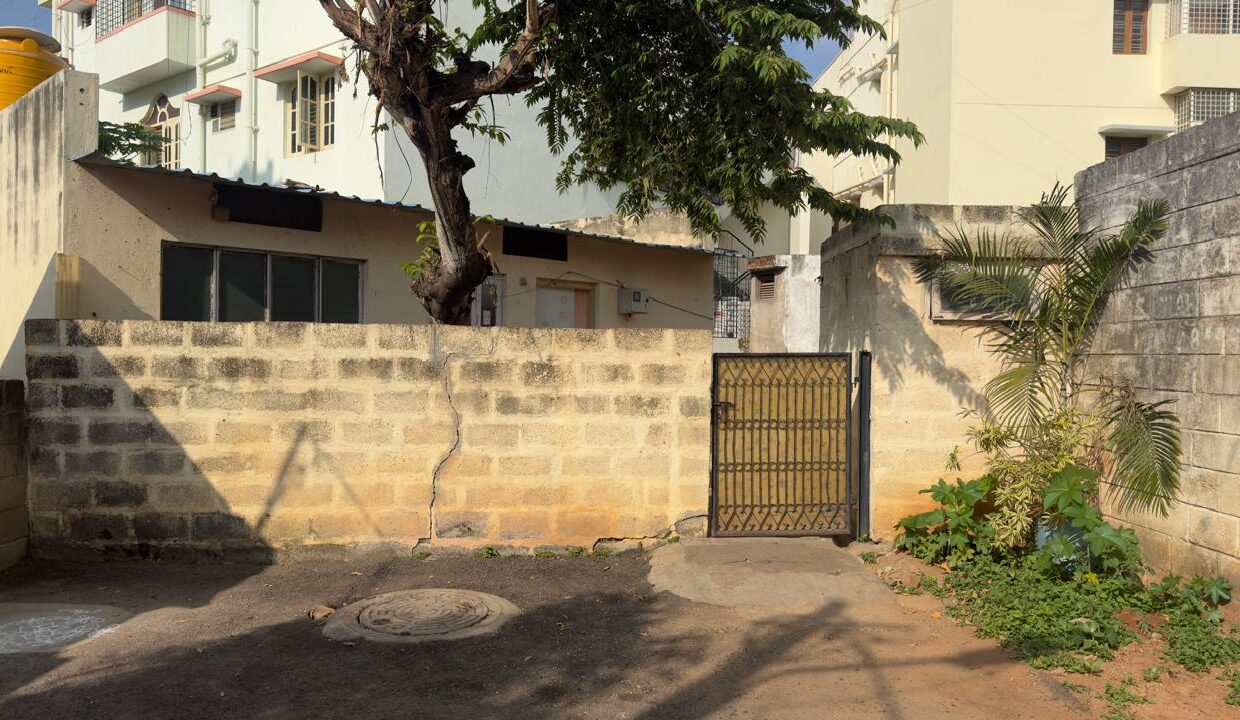 WhatsApp Image 2026-01-03 at 11.36.33 AM