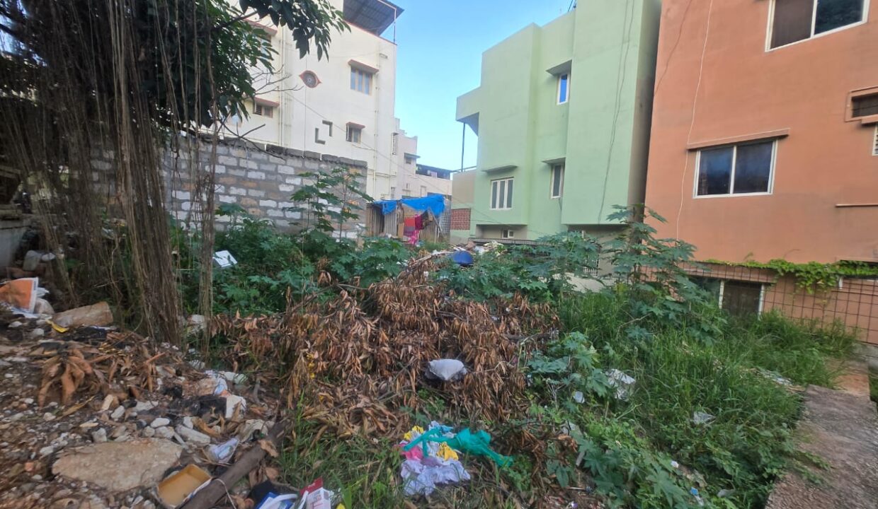 WhatsApp Image 2026-01-08 at 7.03.39 PM