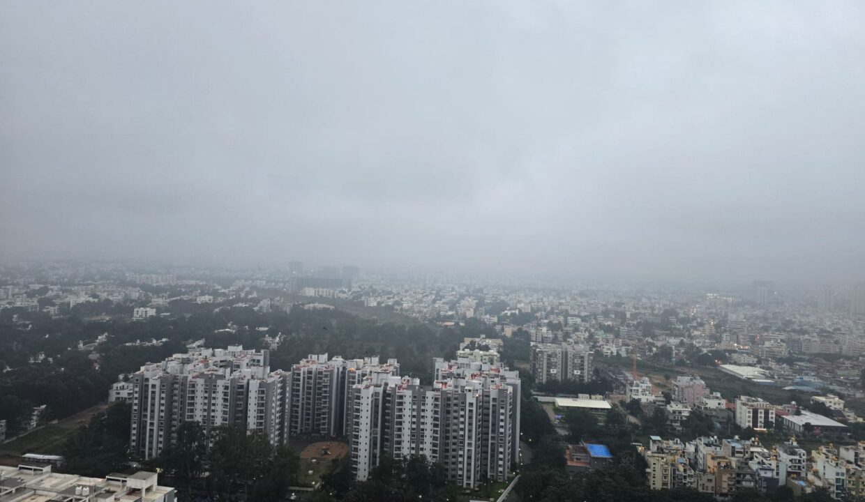 WhatsApp Image 2026-01-13 at 11.11.20 AM