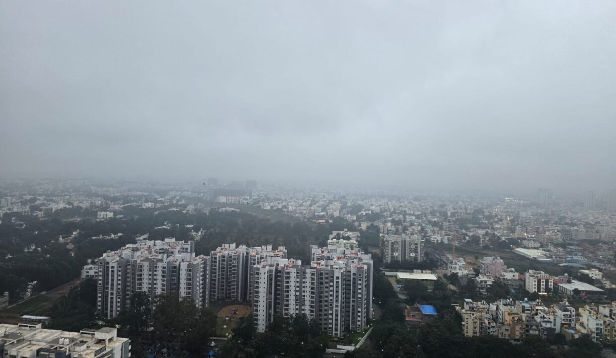 WhatsApp Image 2026-01-13 at 11.11.21 AM (1)