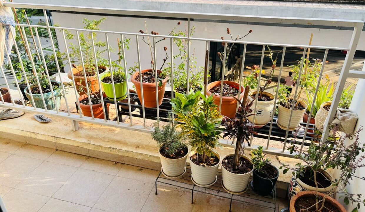 WhatsApp Image 2026-01-14 at 8.30.39 PM (1)