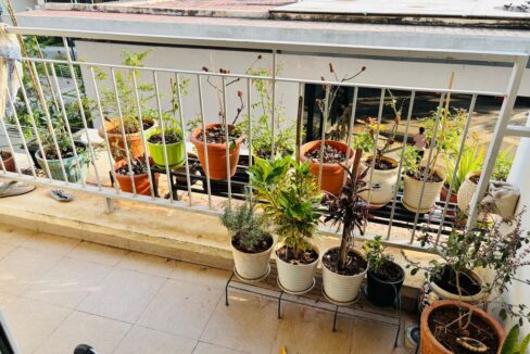 WhatsApp Image 2026-01-14 at 8.30.39 PM (1)