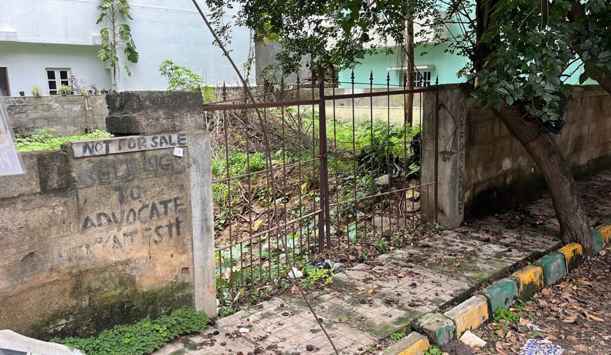 WhatsApp Image 2026-01-16 at 5.16.04 PM