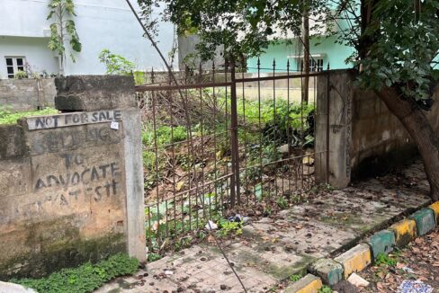 WhatsApp Image 2026-01-16 at 5.16.04 PM