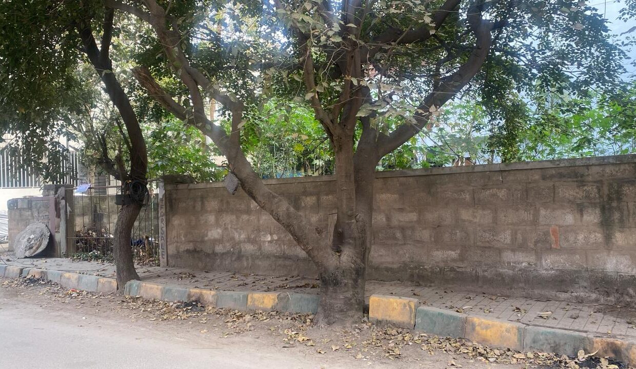 WhatsApp Image 2026-01-16 at 5.20.39 PM