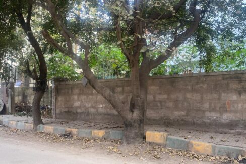 WhatsApp Image 2026-01-16 at 5.20.39 PM