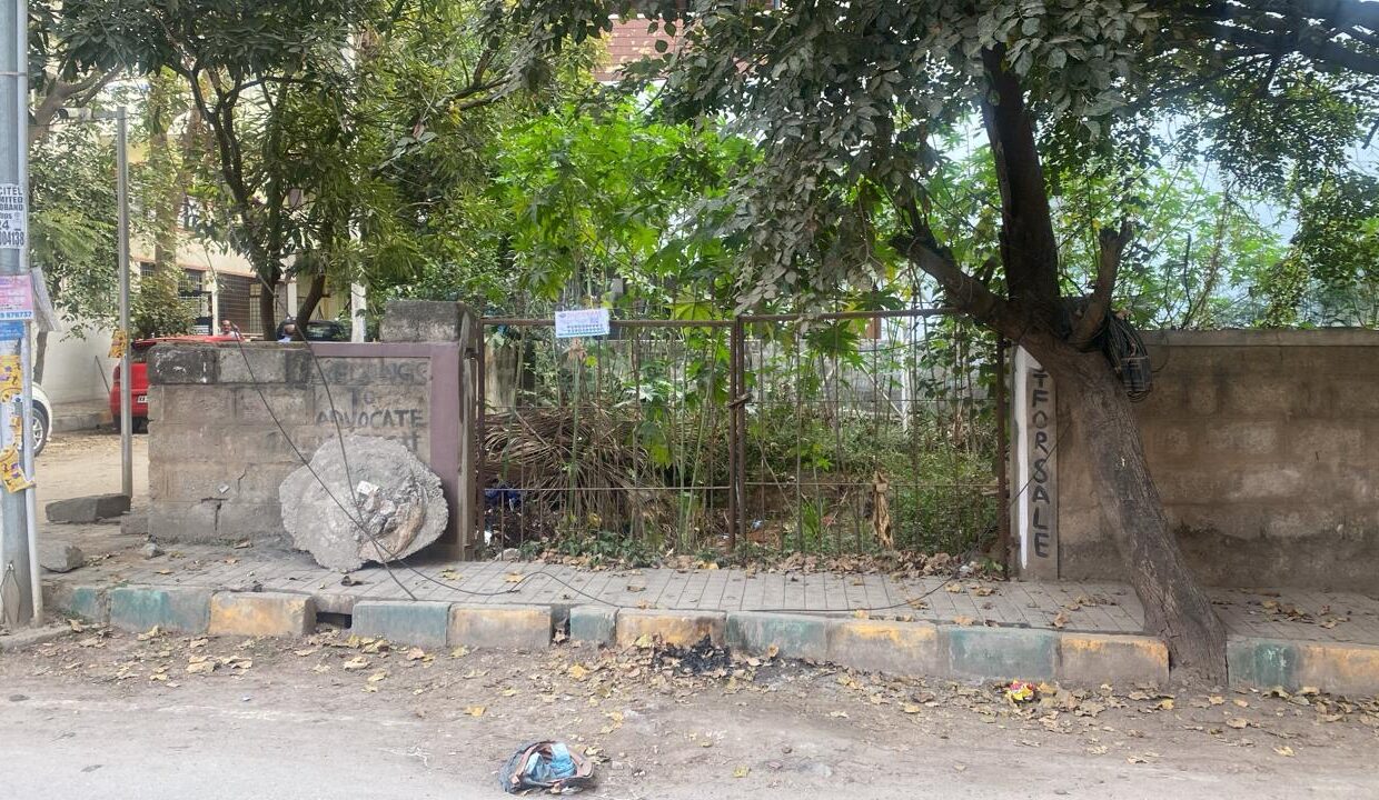 WhatsApp Image 2026-01-16 at 5.21.07 PM