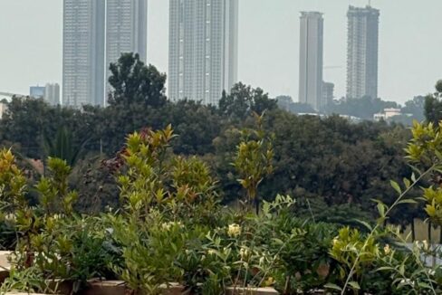 WhatsApp Image 2026-01-17 at 4.11.49 PM