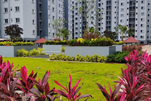 WhatsApp Image 2026-01-27 at 11.26.10 AM (1)