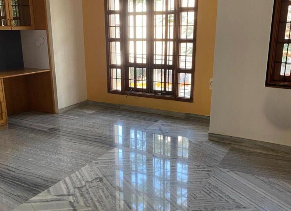 wmremove-transformed (2)