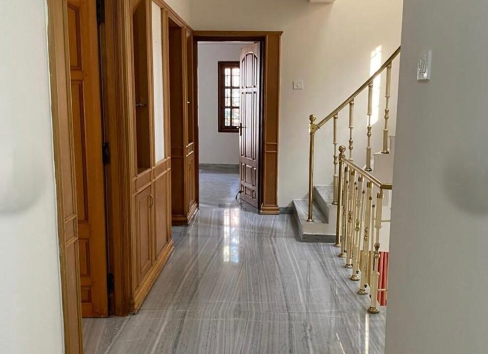 wmremove-transformed