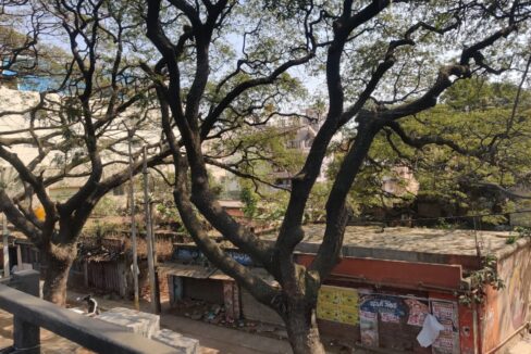 3ceabfc5-23b7-473a-ba71-b72f08109bb1