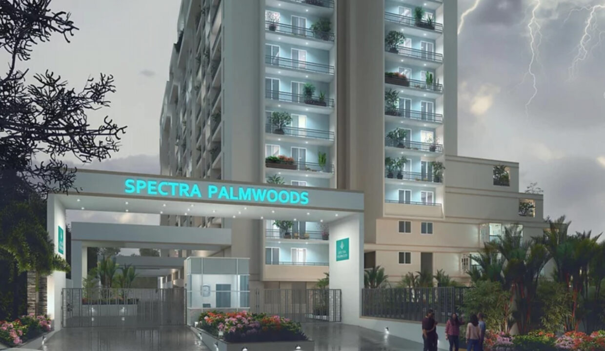 Spectra_Palmwoods_1