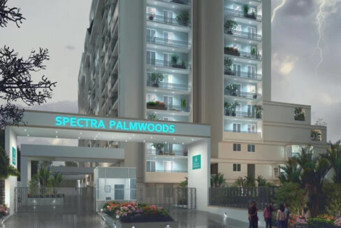 Spectra_Palmwoods_1