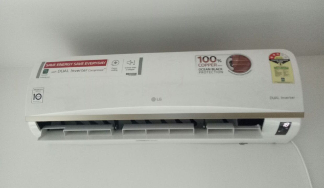 WhatsApp Image 2026-01-30 at 12.49.33 PM (3)