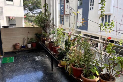 WhatsApp Image 2026-01-31 at 11.15.08 AM