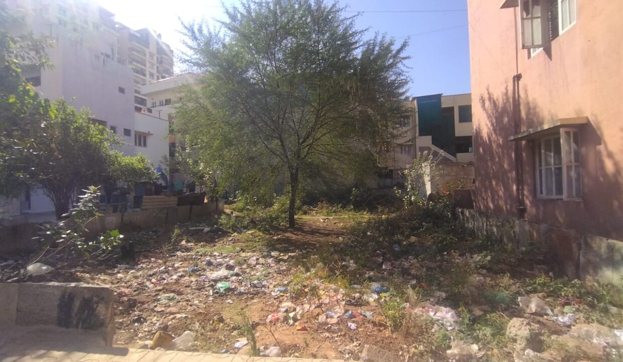 WhatsApp Image 2026-02-11 at 1.36.59 PM