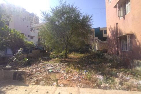 WhatsApp Image 2026-02-11 at 1.36.59 PM