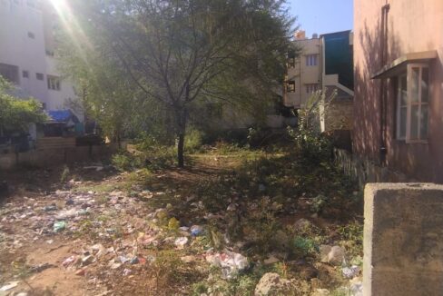 WhatsApp Image 2026-02-11 at 1.37.02 PM