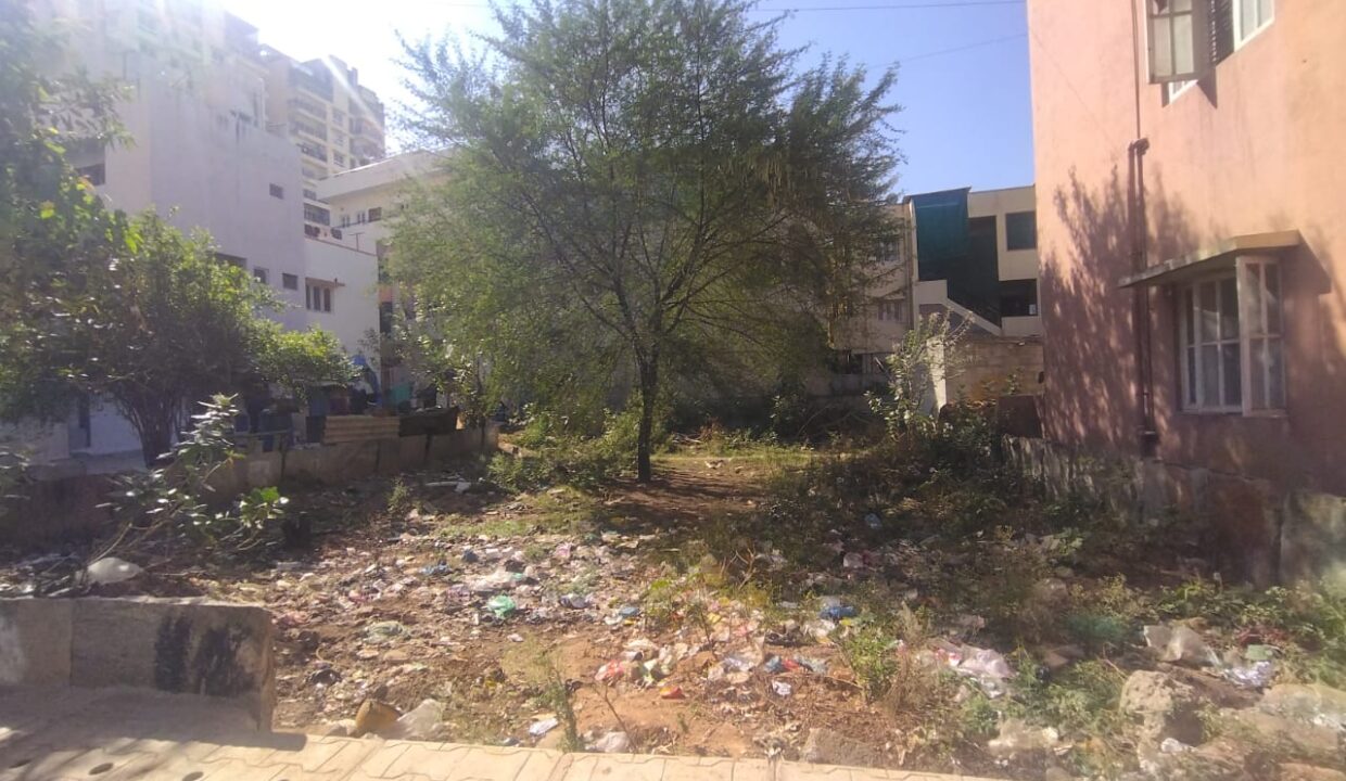 WhatsApp Image 2026-02-11 at 1.37.18 PM