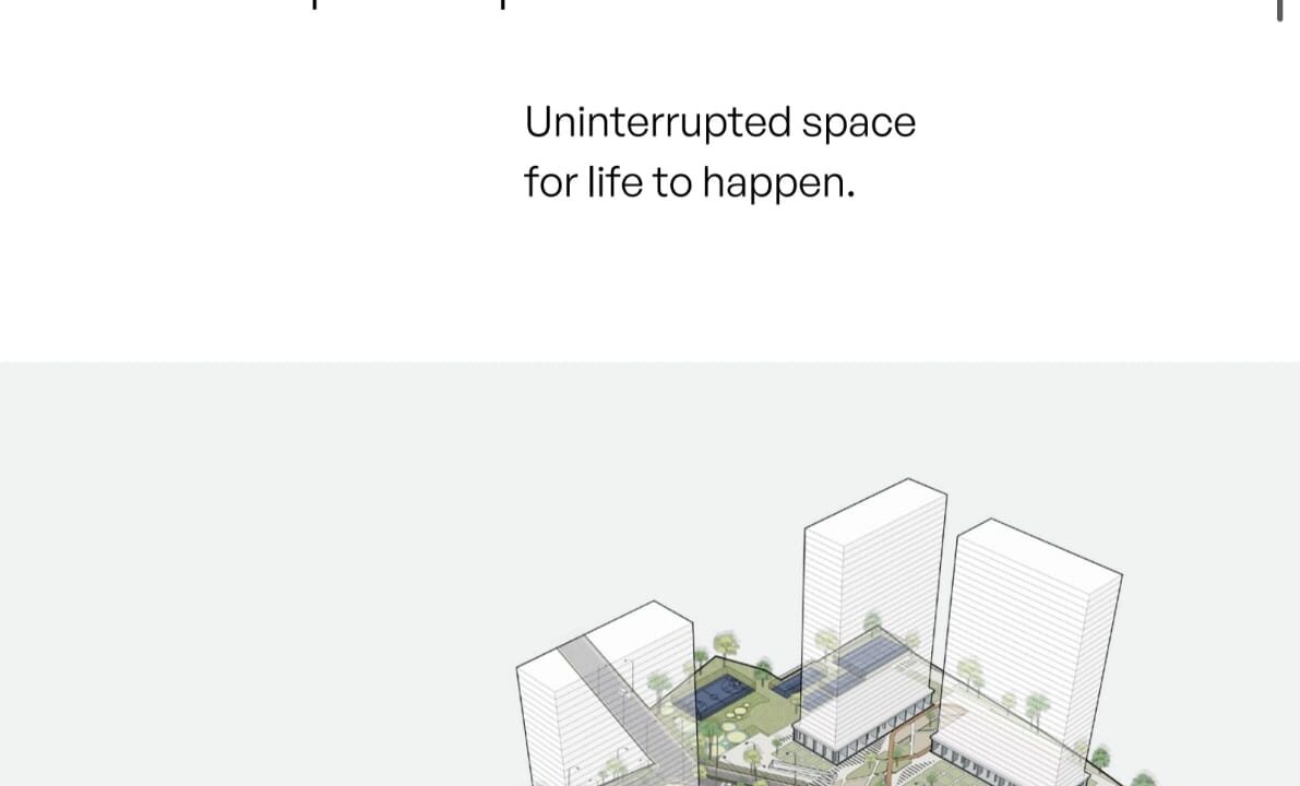 WhatsApp Image 2026-02-11 at 6.56.32 PM