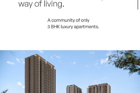 WhatsApp Image 2026-02-11 at 6.56.33 PM (1)