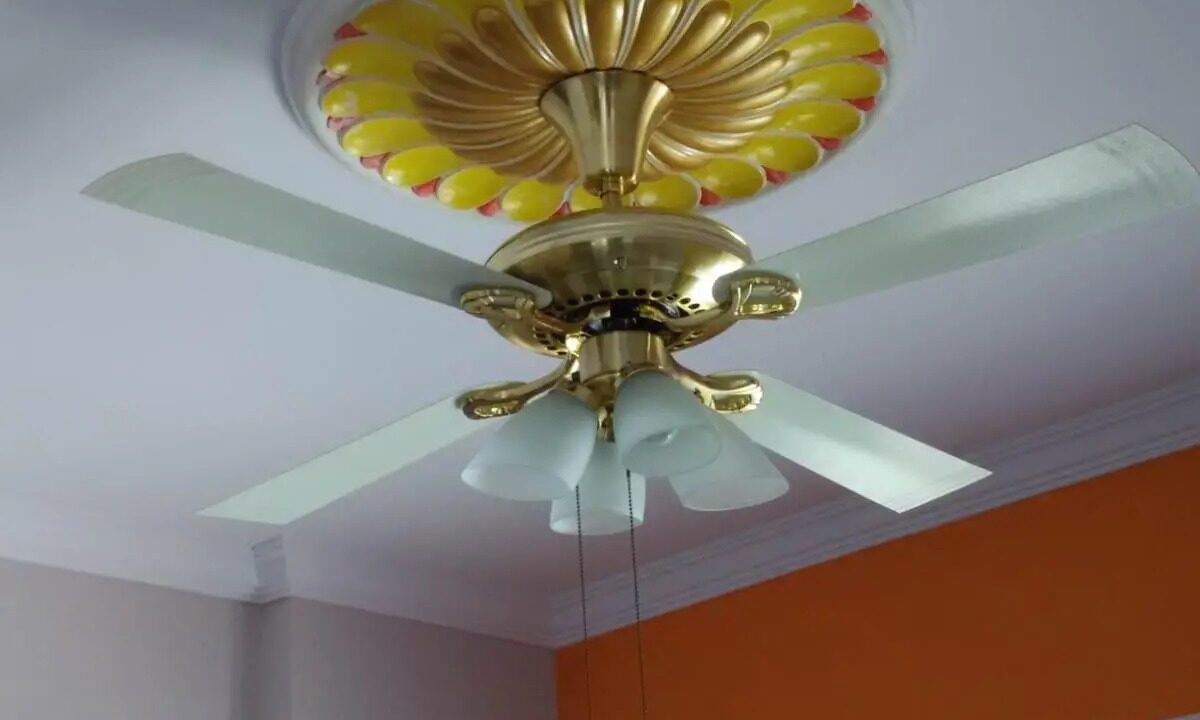 WhatsApp Image 2026-02-12 at 1.03.32 PM