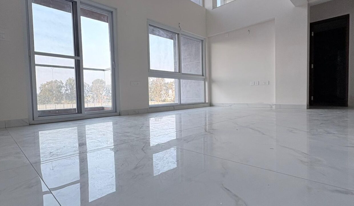 WhatsApp Image 2026-02-12 at 2.41.27 PM